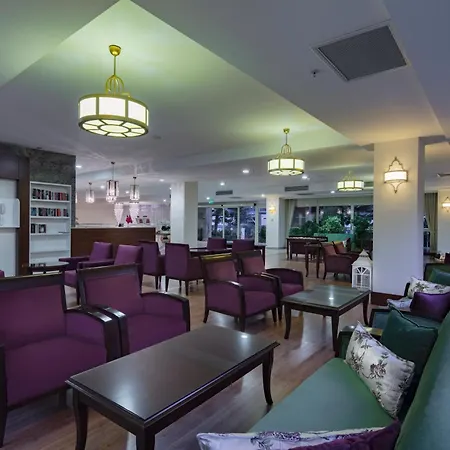 Trendy Adults Only シダ