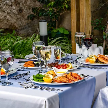 Trendy Adults Only 4* シダ