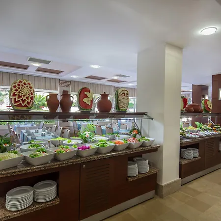 Trendy Adults Only シダ