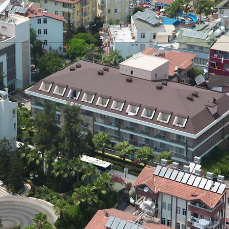 Trendy Adults Only 4* シダ